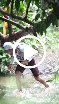 BIB:  <button type="button" onclick="openModal(27490376)" class="btn btn-primary btn-sm float-right" data-toggle="modal" data-target=".modal-high-quality">
                <i class="fa fa-download"></i> Download
                </button>